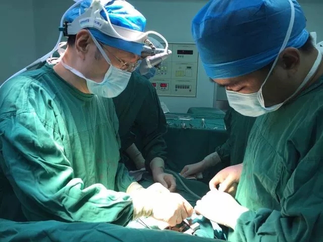 人造血管新进展：用胶原蛋白和聚乳酸纤维一起编织